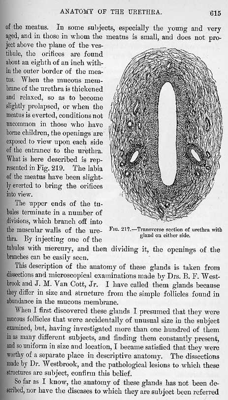 Excerpts from Dr. Alexander Skene's "Diseases of Women" at MUM